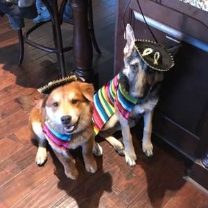 Meet your Posher, Dania